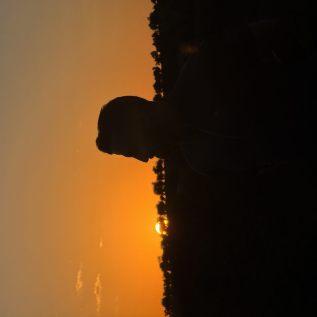 دیاکو گالری